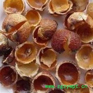 吉康药业无患子 无患子皮 无患子核皂角圆皂角核促销图2