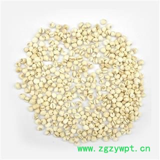 【满298元包邮】贝母  小贝母小珍珠0.5 怀中抱月 选货 贝母    500克1袋图3