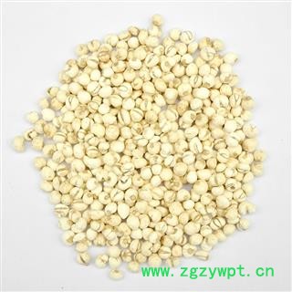【满298元包邮】贝母  小贝母小珍珠0.5 怀中抱月 选货 贝母    500克1袋图2