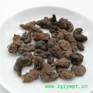 【满298元包邮】拳参 统货 草河车   紫参  九牛燥  产地 云南省图2