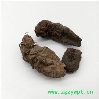 【满298元包邮】拳参 统货 草河车   紫参  九牛燥  产地 云南省图3