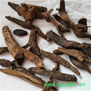 骨碎补 02汤统 产地 四川省绵阳市图2