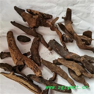 骨碎补 02汤统 产地 四川省绵阳市图3