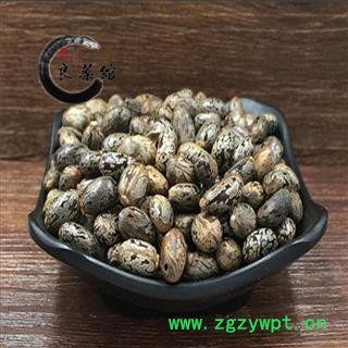 蓖麻子 蓖麻子选装 产地 四川省 药典标准 地道良药馆1000克直销图2