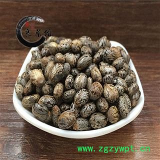 蓖麻子 蓖麻子选装 产地 四川省 药典标准 地道良药馆1000克直销图3