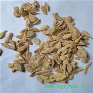 麦冬 瘪片 产地 四川省绵阳市图2