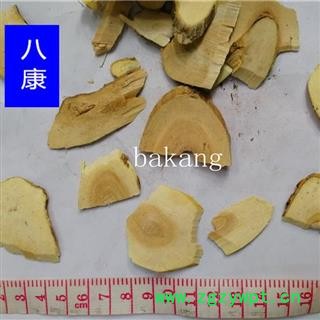 五指毛桃 01杆片图3