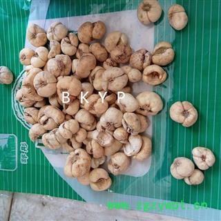 浙贝母 01个 产地 浙江省湖州市长兴县图2