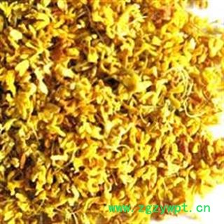 吉康药业新货AA级 桂花  桂花花茶 桂丁 广西产图2