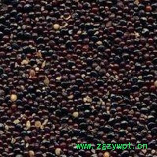 吉康药业青箱子 青葙子 牛尾花子 狗尾巴子图2