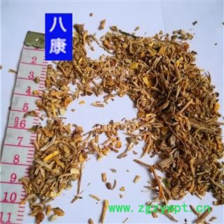 射干 碎渣沫图3