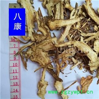 当归 全归01统图4