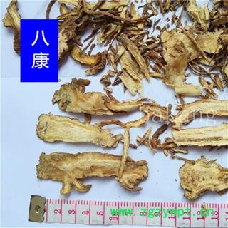 当归 全归01统图3