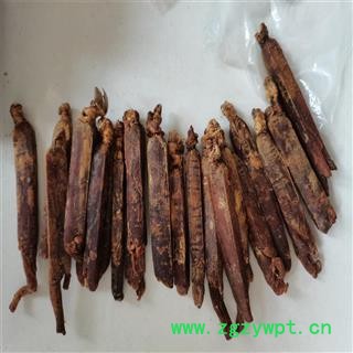 红参 方型 规格多多 产地 吉林省白山市图2