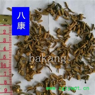 柴胡 01统 藏柴胡图2