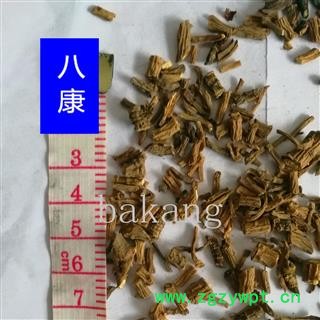 柴胡 01统 藏柴胡图3