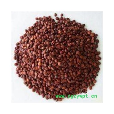 吉康药业枣仁 理枣仁酸枣仁 选货