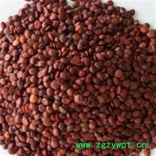 吉康药业枣仁 理枣仁酸枣仁 选货图2