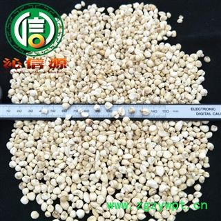 【满包邮】尖贝母小粒统货福建产地直供小贝母沁信源中药批发图3