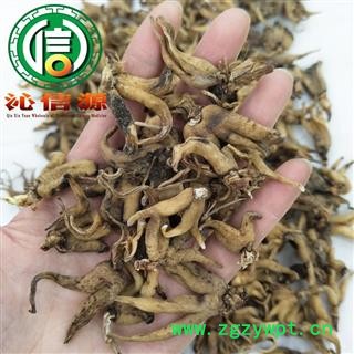 【满包邮】手掌参统货散装吉林产地直供佛手掌沁信源中药批发图3