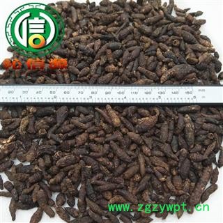 【满包邮】香附子制货统货散装广西产地直供制香附子沁信源中药批发图2