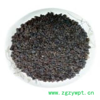 索索葡萄 野葡萄图2