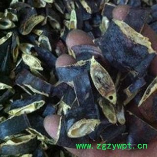 吉康药业大皂角  量大从优今年新货图2