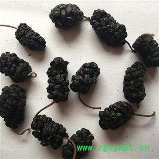 桑葚子 精选茶用桑葚子   批产地 安徽省图2