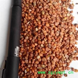 莱菔子 莱菔子选货 干净无杂质产地 四川省图3