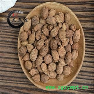 砂仁 阳春壳砂仁晒干统货  药典标准 地道良药馆1000克直销图2