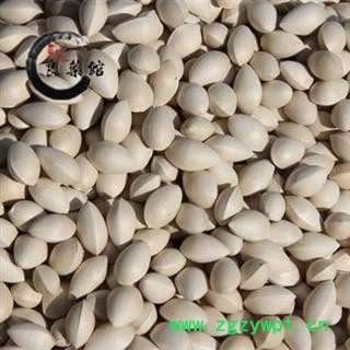白果 白果统货 产地 江苏省 白果统货 批发供应 批发零售各类中药材中草药新图3
