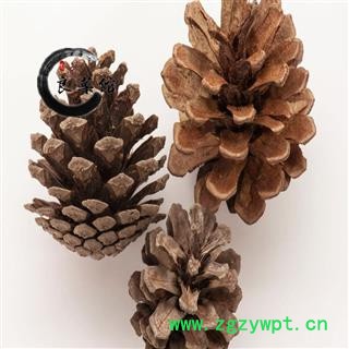 松塔选货  产地吉林松球 松果、椁树核桃、蛇皮松果、白松果药典标准 地道良药馆1000克直销图4