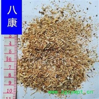 西洋参 沫子图2