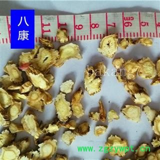 桔梗 选直径0.4-1.2厘米片图3