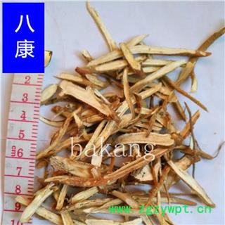 甘草 小斜片01图2