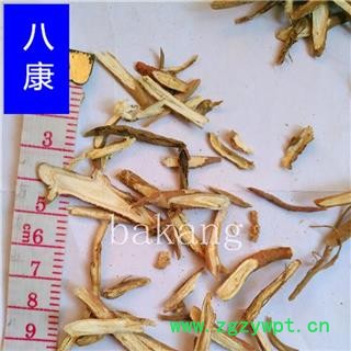 甘草 小斜片01图3