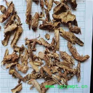 知母 01统 产地 安徽省黄山市休宁县图2