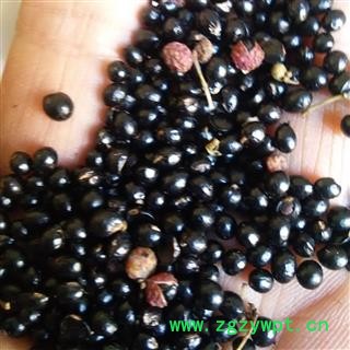 花椒 豫统 产地 河南省平顶山市汝州市图4