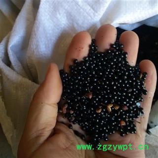 花椒 豫统 产地 河南省平顶山市汝州市图3