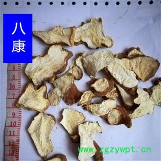 生白术 01统 产地 河北省保定市图2