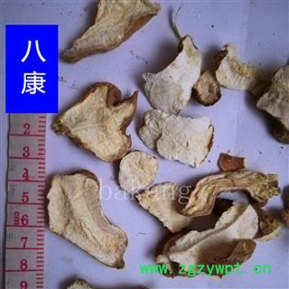 生白术 01统 产地 河北省保定市图3