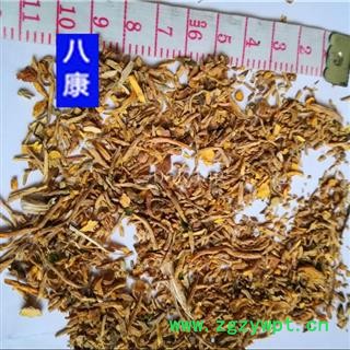 射干 碎渣沫图2