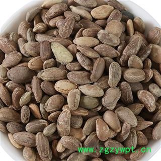 瓜蒌子瓜蒌仁 瓜蒌籽 栝楼子 双边好统货 新货 子仁饱满无坏子重在品质吉康药业图2