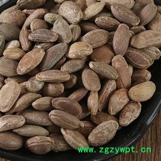 瓜蒌子瓜蒌仁 瓜蒌籽 栝楼子 双边好统货 新货 子仁饱满无坏子重在品质吉康药业图3