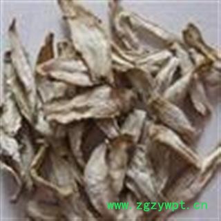 吉康药业牛蒡根 产地 甘肃省陇南市市辖区图2