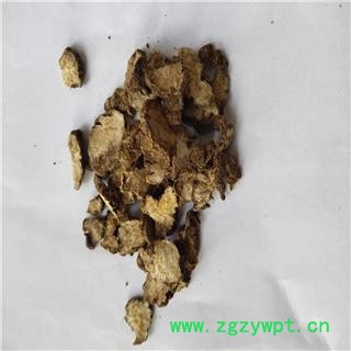 关 苍术 01统片图2