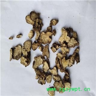 关 苍术 01统片图3