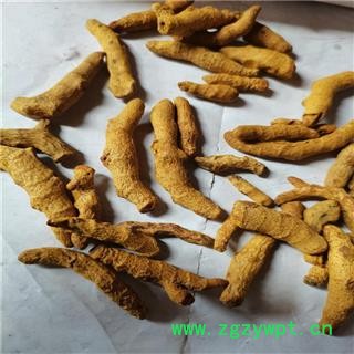 姜黄 个 产地 广西壮族自治区梧州市图3