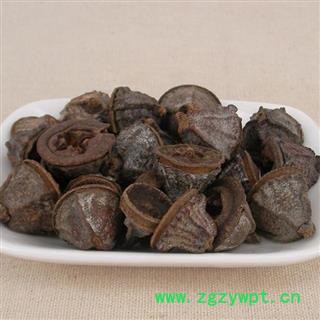 吉康药业一口钟  红嗽叭花 云南白树球 扣子七 胜利果图2