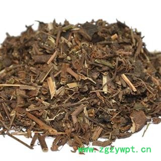吉康药业  凉草 凉五草 辣蓟 蓝花草 辣鸡 饼草新货毛 香毛麝图2